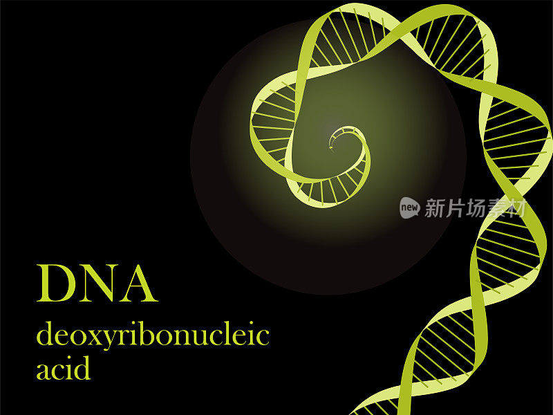 Illustration of the image of DNA (deoxyribonucleic acid) ・Lime yellow